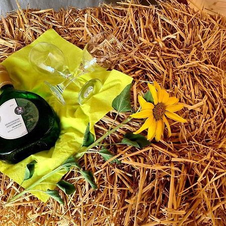 Schlaffass Mit Wellness In Alter Scheune Seinsheim Εξωτερικό φωτογραφία